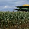 In this Monday, Sept. 1, 2014 photo, a central Illinois corn farmer begins to harvest this years crops of corn in Pleasant Plains, Ill. 