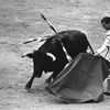 The Spanish bullfighter Antonio Bienvenida in a bullfight in the bullring of Las Palmas, 5th June 1971, Las Palmas, Canary Islands, Spain. 