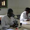 Researchers in a laboratory in the Madagascan capital Antananarivo in Sept. 2004. The Pasteur Institute of Madagascar hosted training for scientists from 9 other African counties with plague.