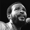 Marvin Gaye performs in the Netherlands, 1980 