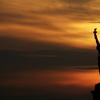 Statue_of_Liberty_Red_Hook