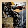 The Trip to Echo Springs by Olivia Laing