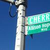 Part of Cherry Avenue in Flushing is now co-named after a 3-year-old who was killed by an SUV.