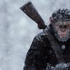 Caesar wages a war of revenge against humans, led by Woody Harrelson, in 'War for the Planet of the Apes.'