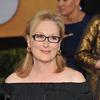 Meryl Streep at the 20th Annual Screen Actors Guild Awards at the Shrine Auditorium