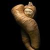 Entangled, parsnip sculpture (Shawn Feeney)