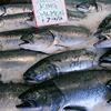 Wild King salmon in Seattle's Pike Place Market 