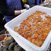 This Dec. 22, 2011 photo, a tray of sea urchin roe is at a processing facility in Portland, Maine. 