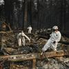  In this Friday, Nov. 16, 2018, file photo search and rescue personnel search a home for human remains in the aftermath of the Camp fire in Paradise, Calif.