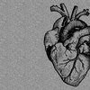 sketched illustration of a human heart with grey grainy overlay