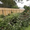 Steve Bergeron collects downed branches from a Tropical Storm Barry damaged backyard tree, Sunday, July 14, 2019, in Morgan City, La. 