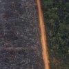 A lush forest sits next to a field of charred trees in Vila Nova Samuel, Brazil, Tuesday, Aug. 27, 2019.