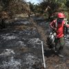 A fire fighter carries hoses as he walks on a burnt filed at a palm oil plantation in Tapung, Riau province, Indonesia, Thursday, Aug. 1, 2019.