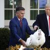 President Donald Trump pardons Butter, the national Thanksgiving turkey, in the Rose Garden of the White House, Tuesday, Nov. 26, 2019, in Washington. 