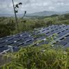 Las Piedras still doesn't have power off the national grid, more than 10 months after Hurricane Maria and now is operating exclusively on solar energy.