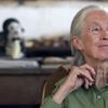 jane goodall stares wistfully into the distance, smiling warmly