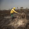 A worker from Brazil's state-run environment agency IBAMA places his gloved hand on the truck of a tree in an area consumed by fire near Novo Progresso, Para state, Brazil, Tuesday, Aug. 18, 2020. 