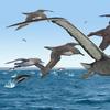 a colored illustration of large seagull-looking birds with larger longer beaks with teeth. the flock flies over water