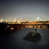 A dog sits on a blanket on a Brooklyn rooftop at night with the glow of the city in the background. 