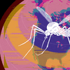 a fuzzy illustration of a large mosquito on top of north america on a globe