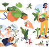 multiple illustrations of people gardening and of plants. on the left, an older woman wearing a broad hat is on her knees picking red small fruit from sprouting branches, someone with a beard in the m