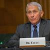 anthony fauci sits in a hearing. a placard says 'dr. fauci' in front of him
