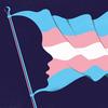 An illustrated image of the trans flag on a flagpole with abstract depictions of facial profiles at the left and right edges of the flag. 
