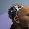 A photograph of a human-looking robot in profile, its face meant to resemble a human's, the back and top of its head resemble the inside of a computer.