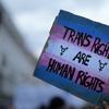 Pink, blue, and white sign says 'trans rights are human rights'