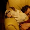 What Happens When We Sleep?