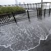 Extreme High Tides Could Flood Our City's Streets 