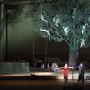 The Many Trees of Opera
