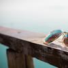 Summertime Classical Pieces For Maximum Chill