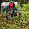 West Farms 10460: Cooperative Economics, Community Farming, and Food Justice