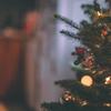 Holiday Programming 2024