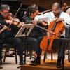 Echoes of Vivaldi
