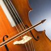 Performances from Manhattan School of Music Precollege