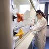The Health Impacts of Defunding Climate Change Research