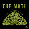 The Moth Podcast: Grocery Trips and Italian Trysts