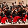 The National Youth Orchestra of the USA