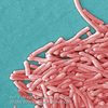 The Ongoing Legionnaires' Outbreak
