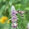 Photo Gallery: WQXR Celebrates Earth Day With Your Photo Submissions