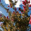 Submit Your Nature Photos for Earth Day!