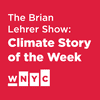 The Brian Lehrer Show's 'Climate Story of the Week'
