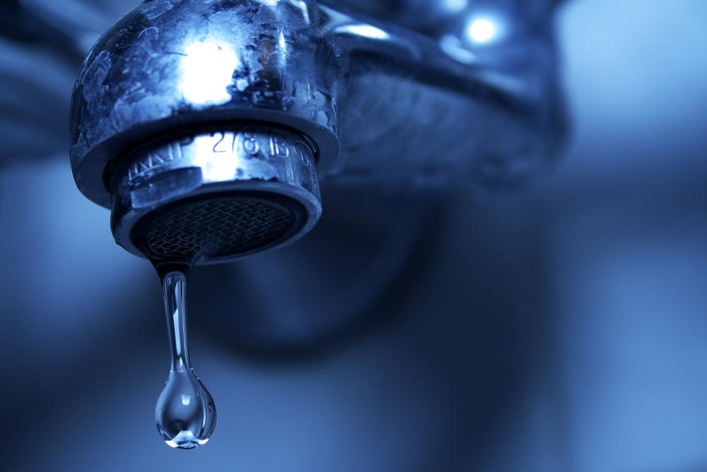 PFAS Lawsuit, Bat Disease. Nov 1, 2019, Part 1 Science Friday WNYC