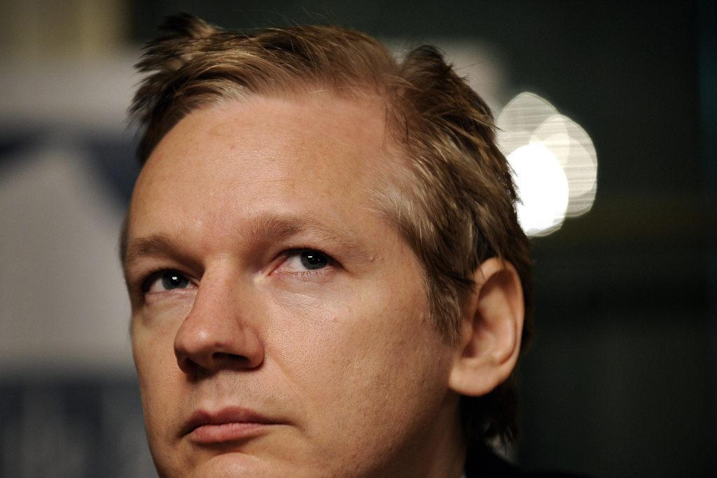 Julian Assange's Blonde Hair and Its Role in His Legal Battles - wide 6