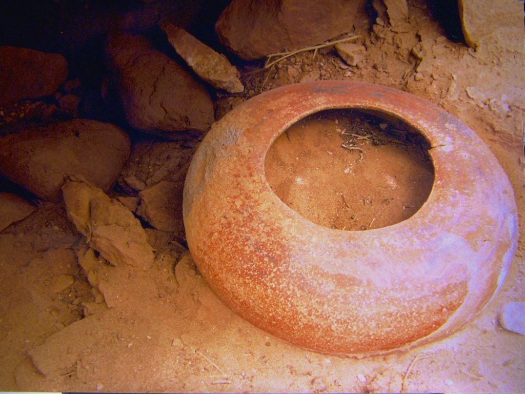 The Seed Jar Radiolab WNYC