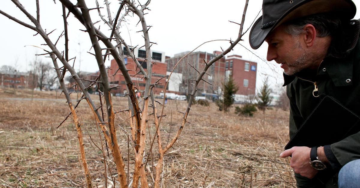 The Harsh Winter Has Unexpected Effects on NYC Environment | WNYC