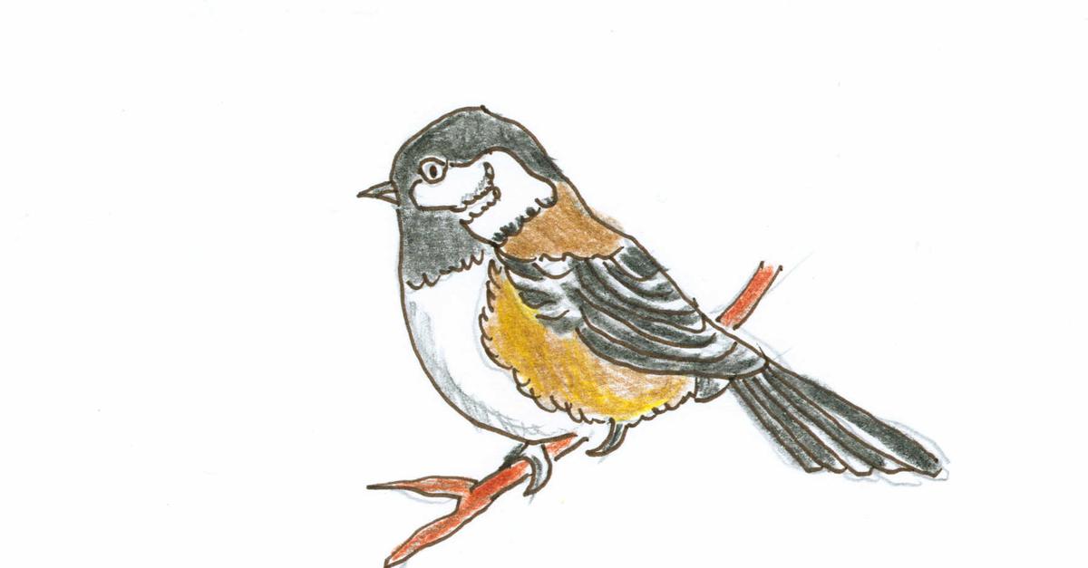 What Chickadees Have That I Want. Badly Radiolab