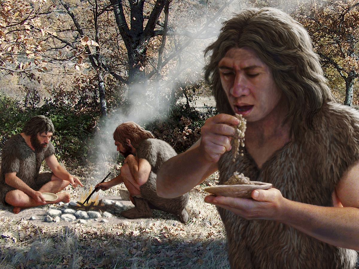 Did Neanderthals Eat Plants? The Proof May Be In The Poop | WNYC | New ...